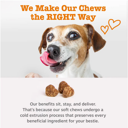 8-in-1 Multivitamin Bites for Dogs